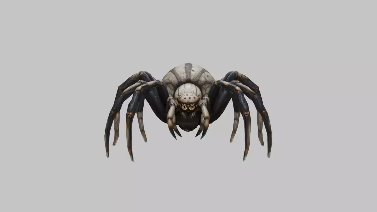 Jumping Spider Low-poly 3D model