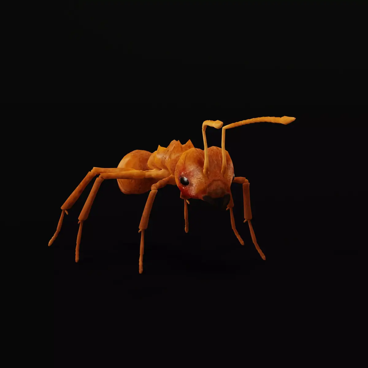 Leafcutter Ant Insect Low-poly 3D model