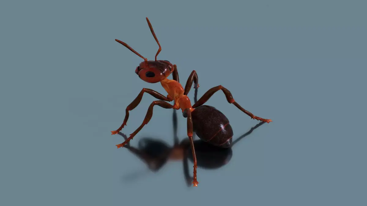 Normal Ant Low-poly 3D model