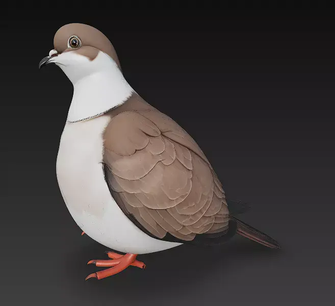 Dove Realistic 3D Model Basic - Low Poly Realistic  Low-poly 3D model
