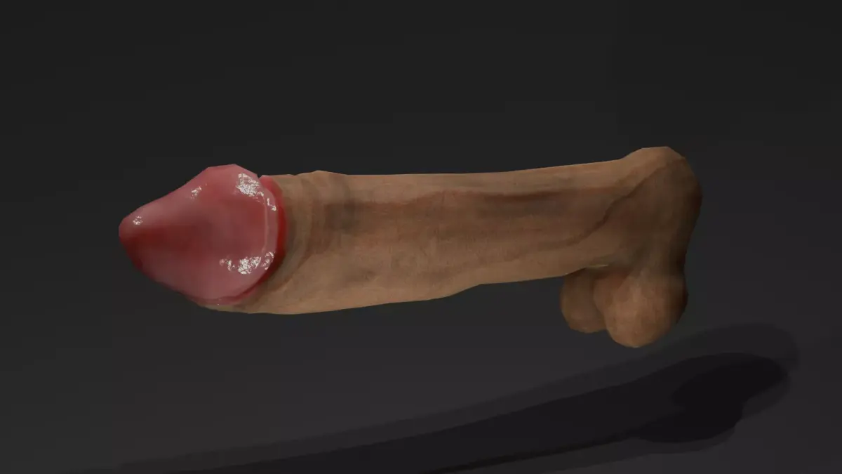 male genitalia - Penis low poly Low-poly 3D model