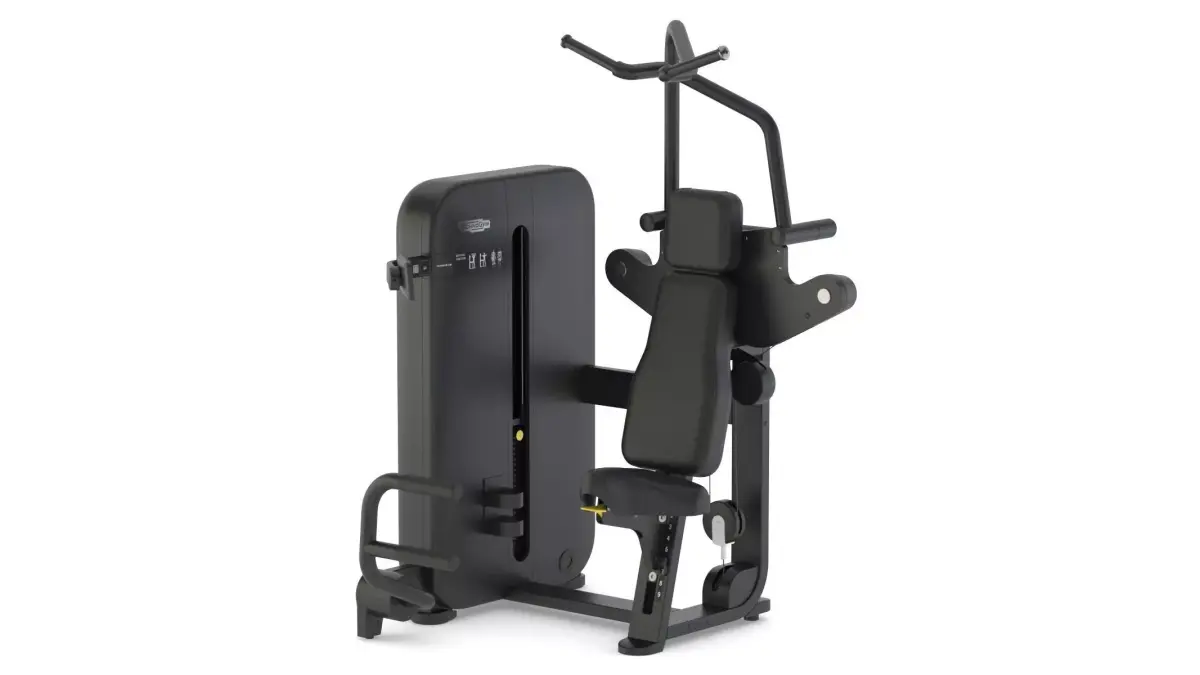 Technogym Selectorized Artis Vertical Traction 3D model