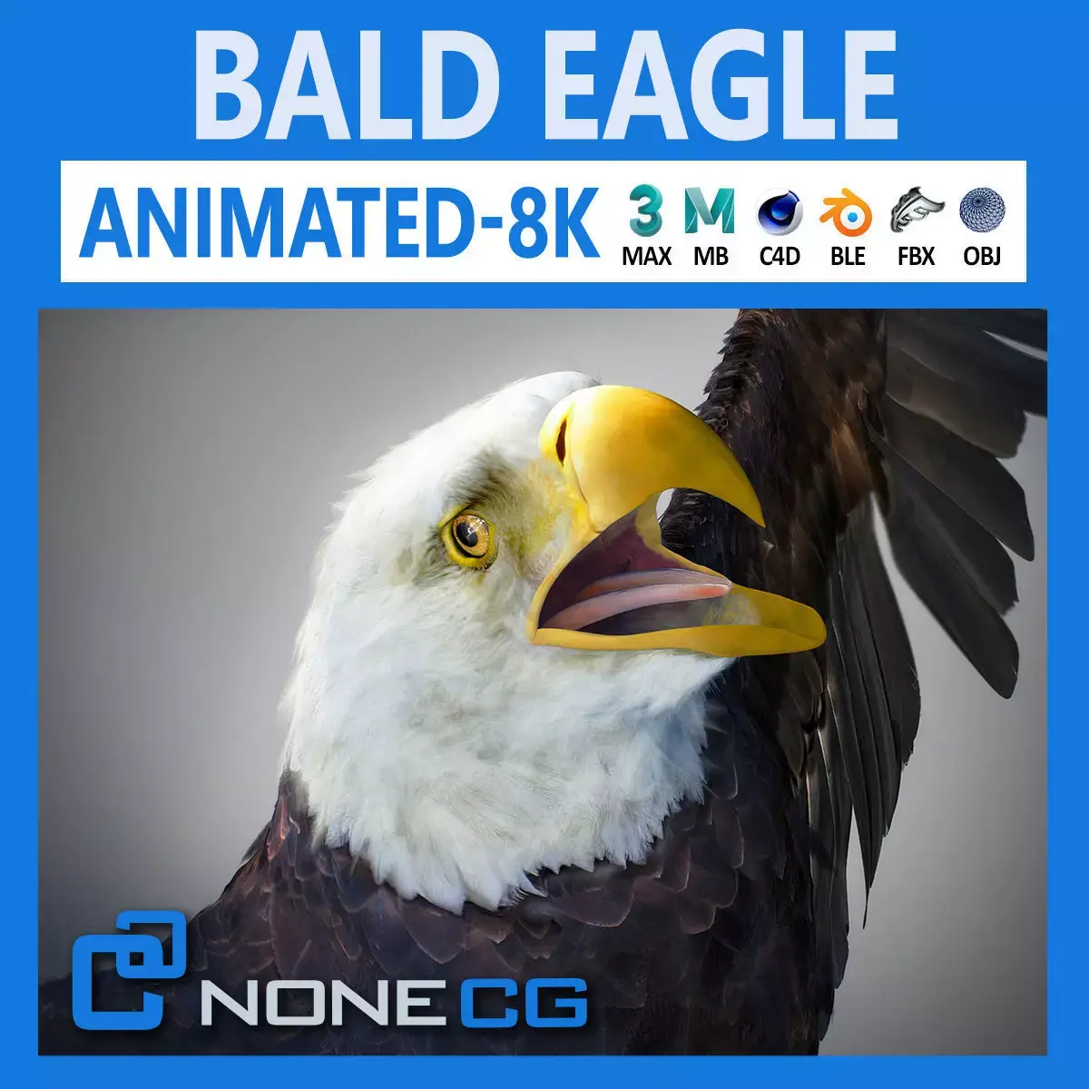 Animated Bald Eagle 3D model
