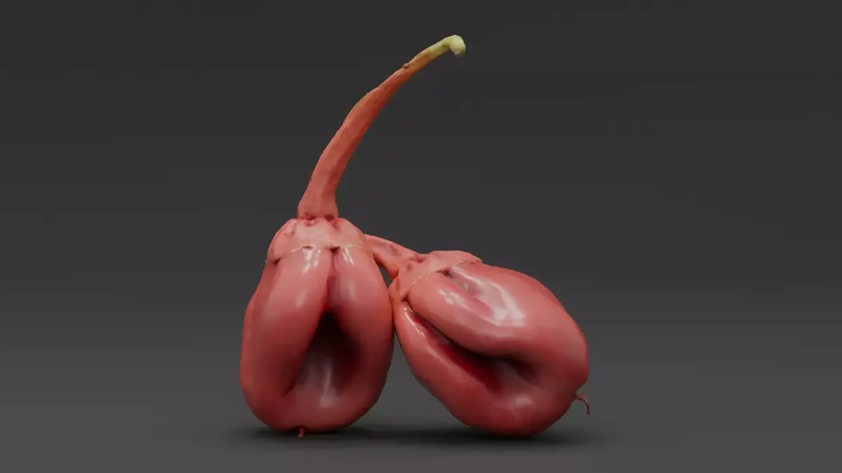  7 Pot Bubblegum Pepper or Capiscum chinense or BBG7 Low-poly 3D model
