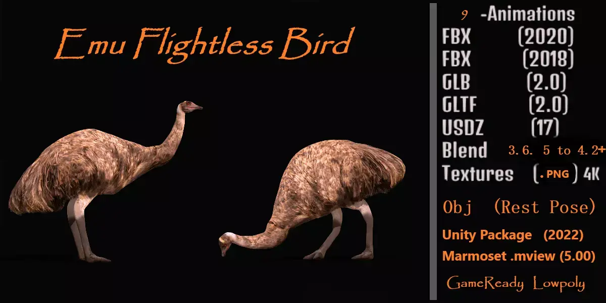 Emu Bird Low-poly 3D model