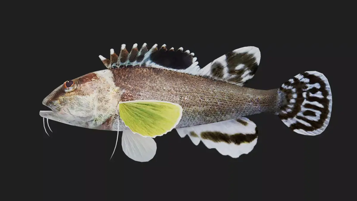 Scorpionfish Low-poly 3D model purchase