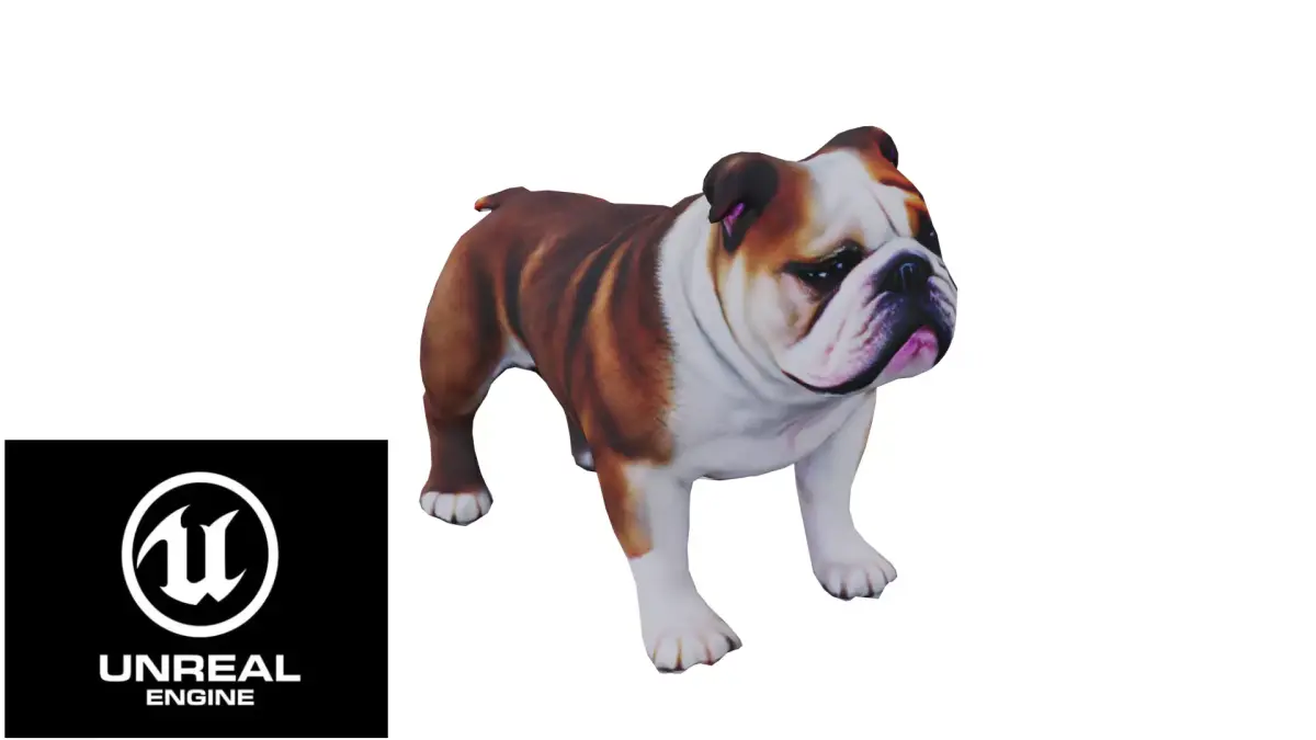 Realistic bulldog low poly  Low-poly 3D model