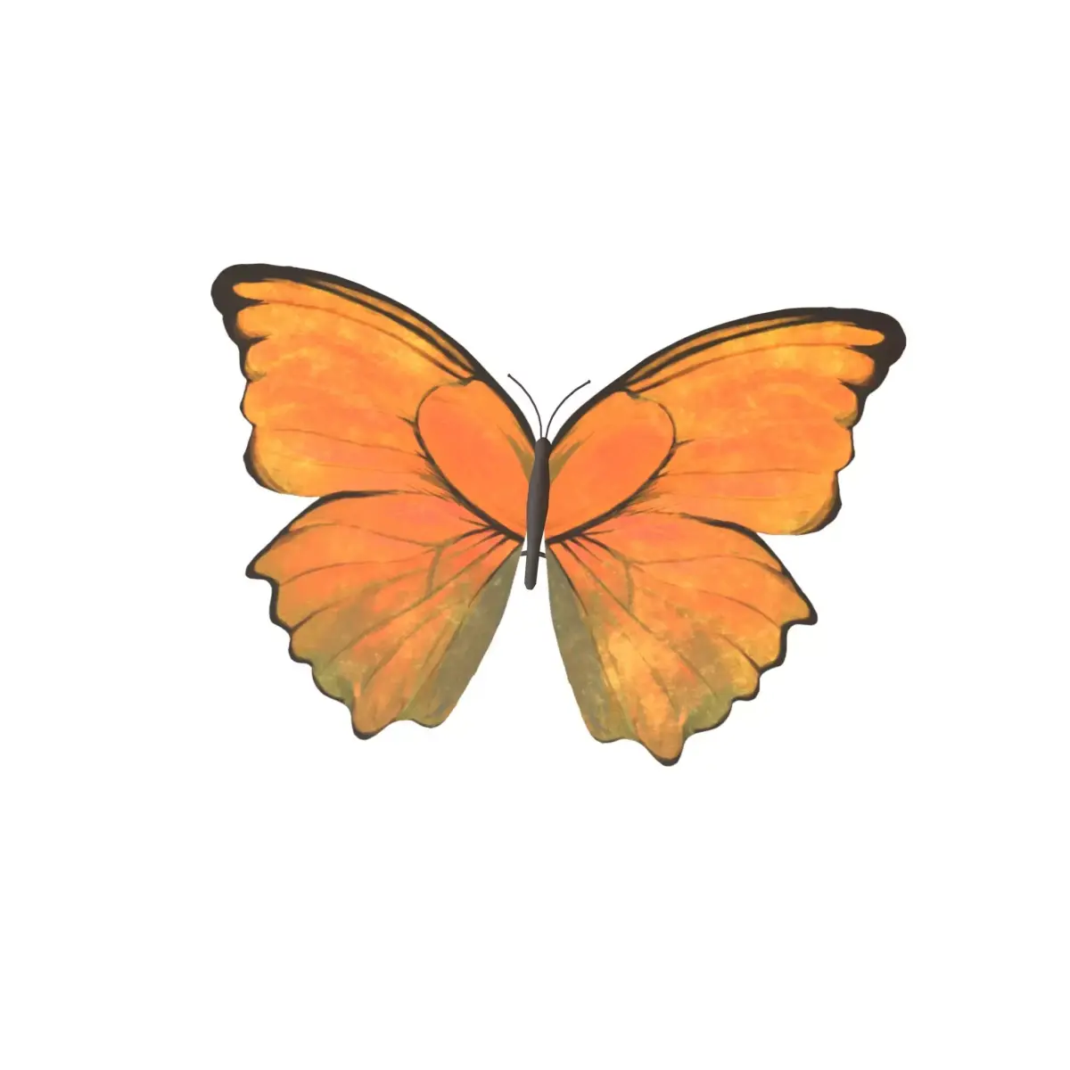 Butterfly v1 006 Low-poly 3D model