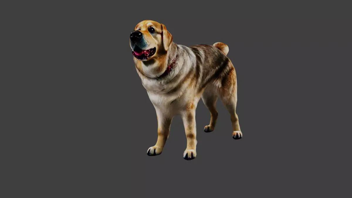 Dog Animal Low-poly 3D model get