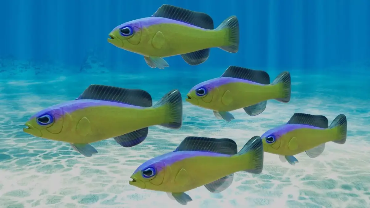 Purple Stripe Dottyback Fish 3D model