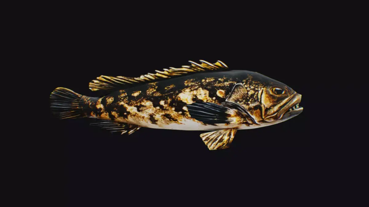 Freshwater Fish Animated Carp Largemouth Bass Smallmouth Perch Low-poly 3D model