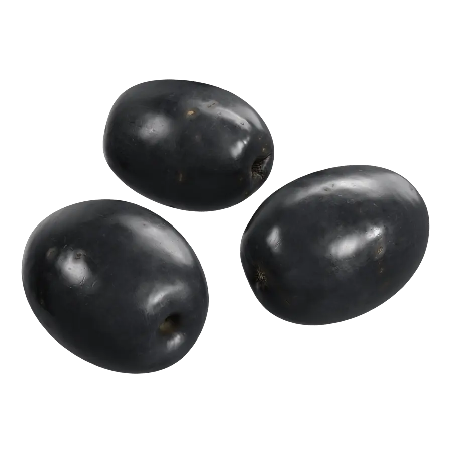  Olives Model  purchase