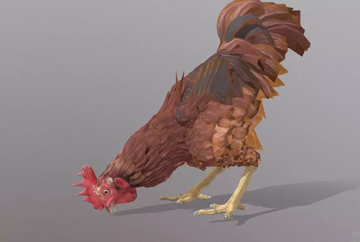 Eating Rooster CHICKEN PECKING Food 3D model
