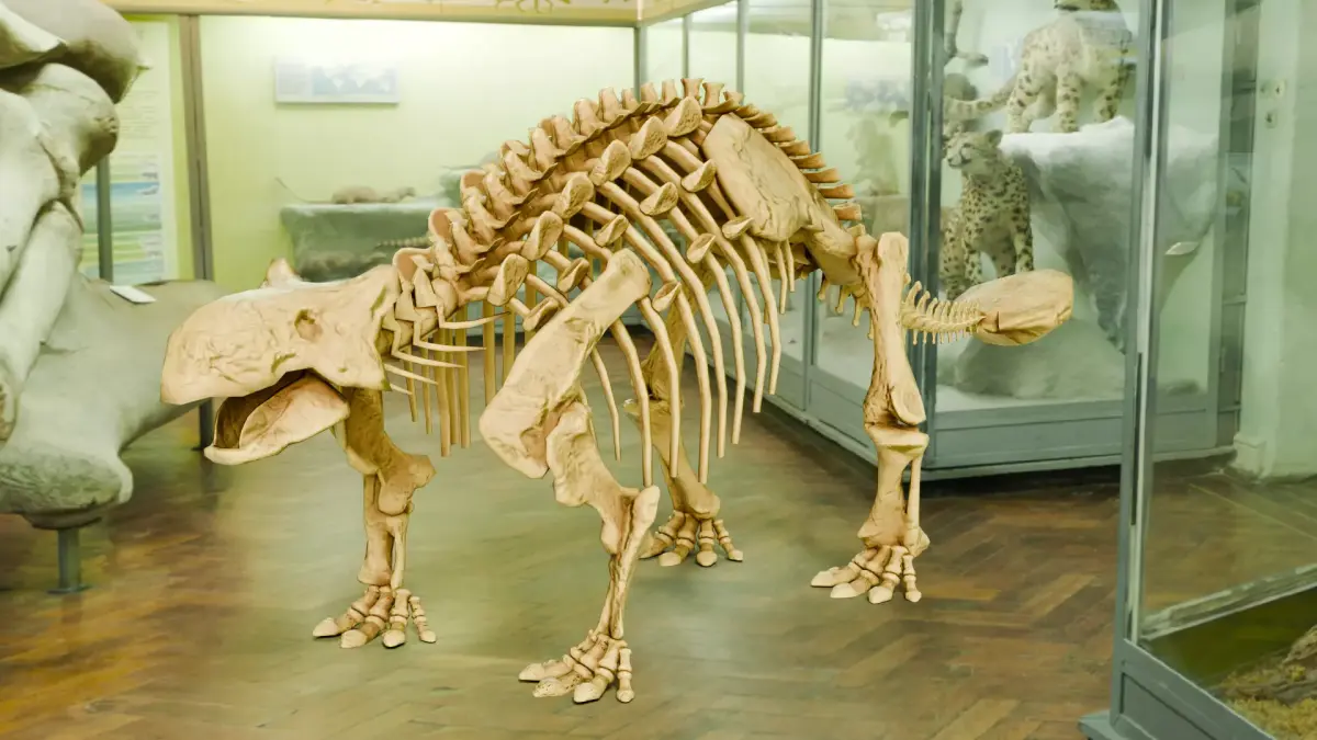 Realistic Ancient Reptilians Fossil - Ankylosaurus Low-poly 3D model