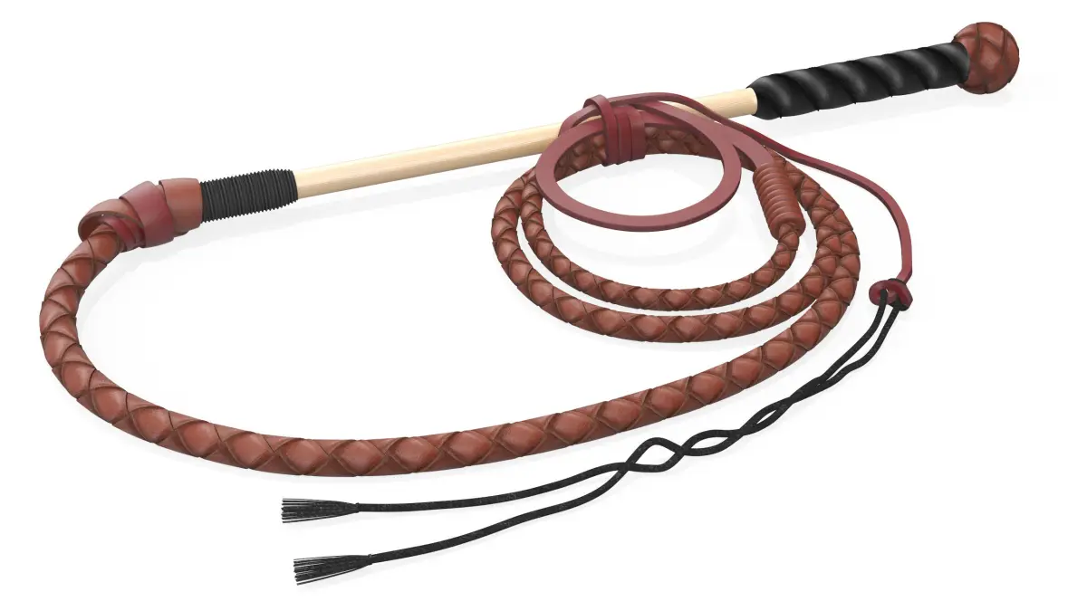 Leather Whip Coiled Brown Rigged 3D model