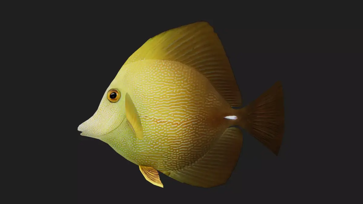 Unicornfish Low-poly 3D model get