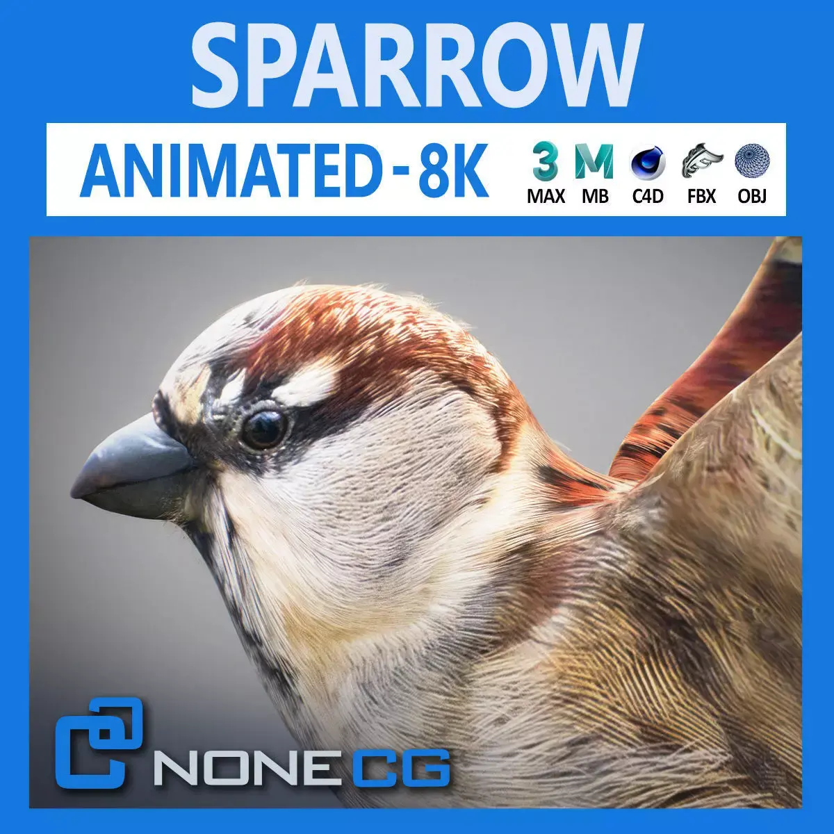 Animated Sparrow 3D model