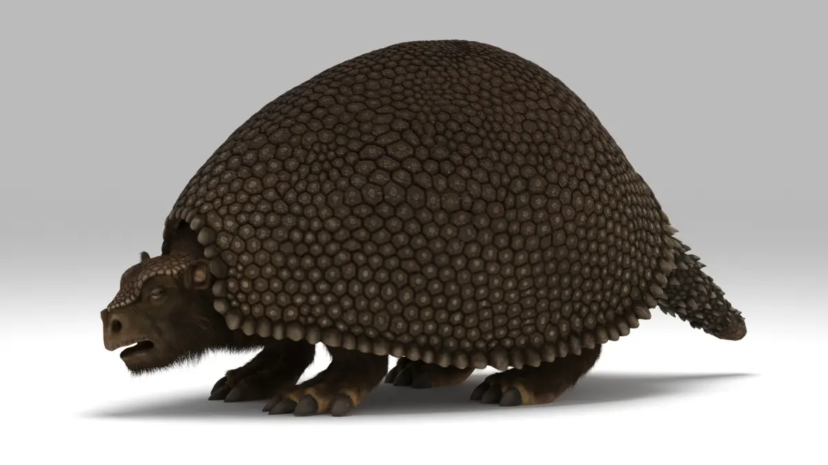 Glyptodon 3D model