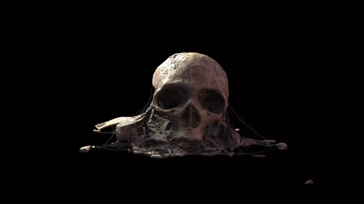 Broken Skull with Spider webs 8 3D model