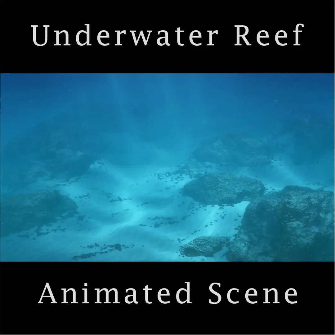 Underwater Reef Scene Animated 3D model