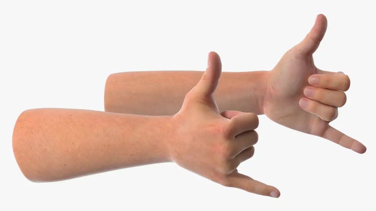 Male Arm Pair with Shaka Gesture 3D model