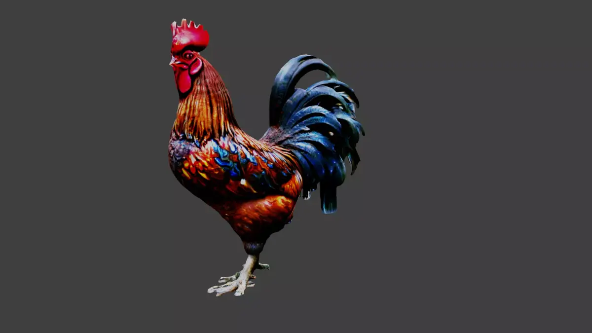 Rooster Animal Low-poly 3D model