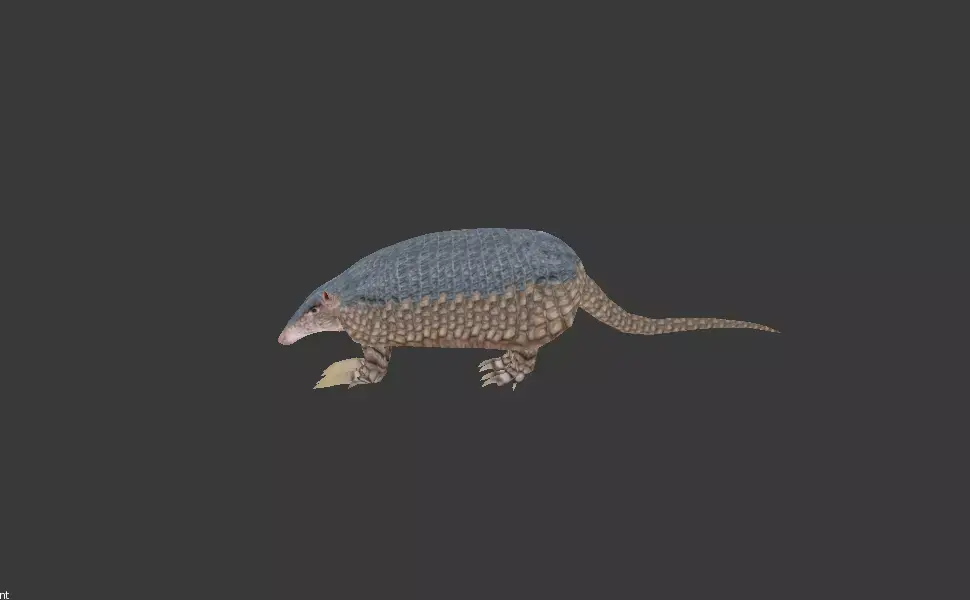 Giant Armadillo Low-poly 3D model