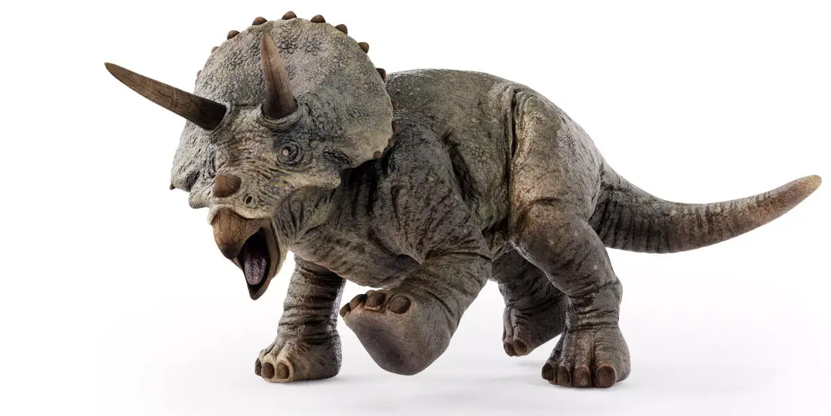 Triceratops Low-poly 3D model