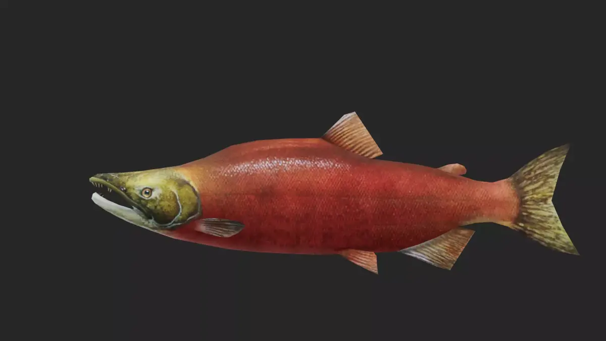 trout Low-poly 3D model