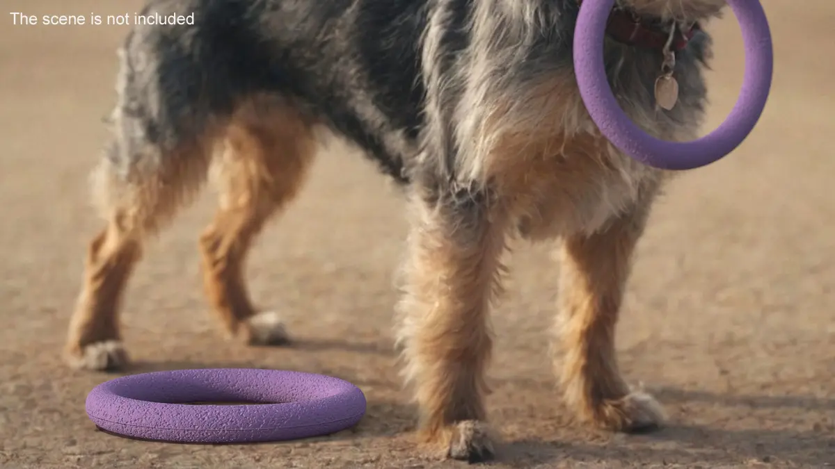 Dog Toy Puller Micro Used 3D model