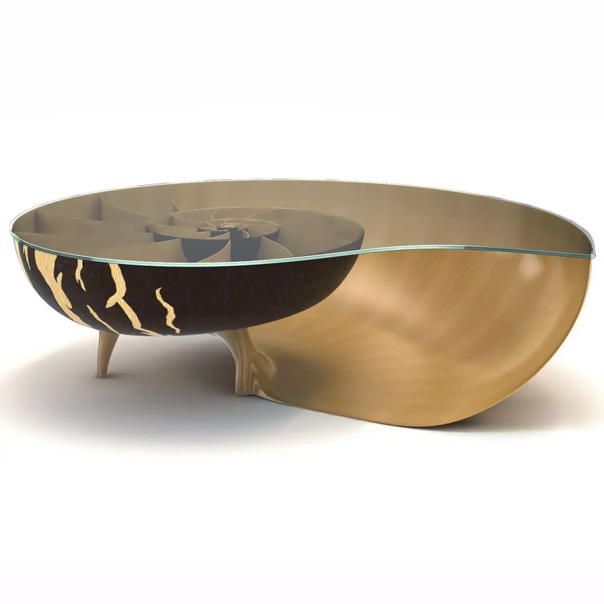Marc Fish Nautilus II Low Coffee Table 3D model