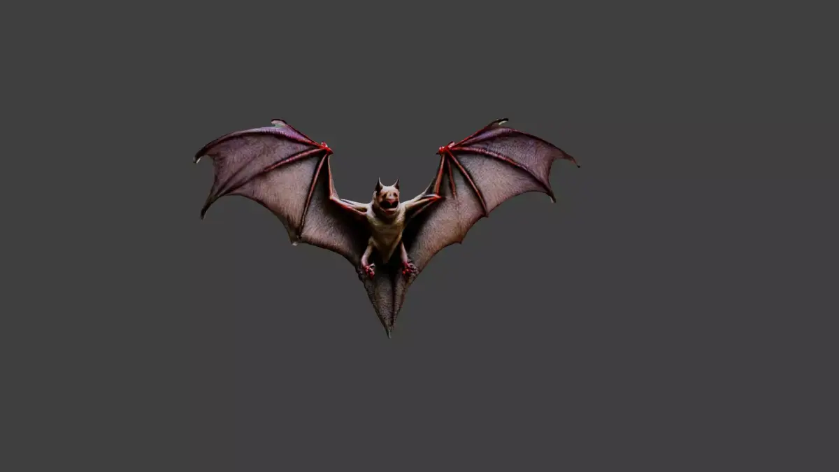 Bat Animal Low-poly 3D model