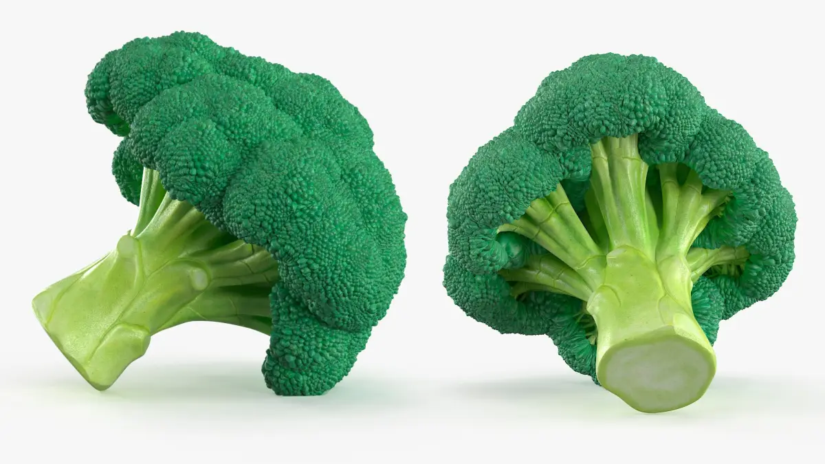 Whole Raw Broccoli Floret Green 3D model