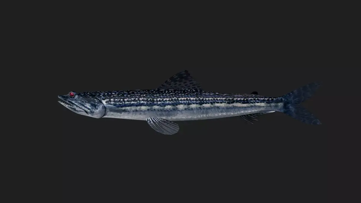 Tripodfish Low-poly 3D model