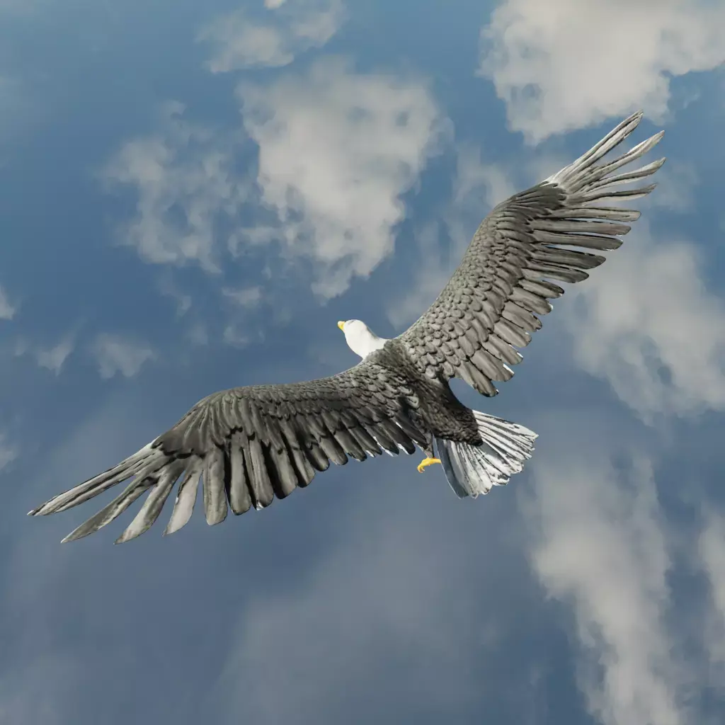 Eagle Model Game Ready flying in sky Low-poly 3D model