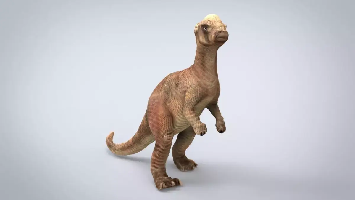 PACHISEPHALOSAURUS dinosaur 3D model