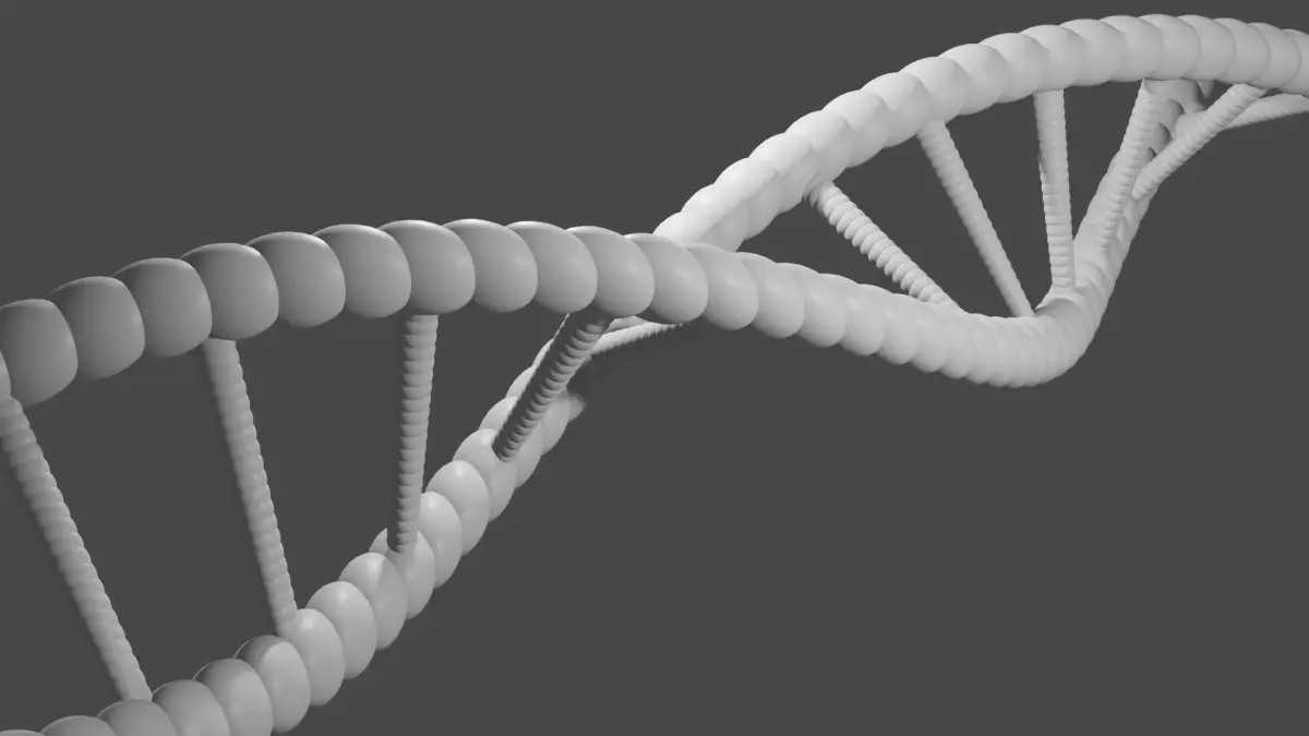 THE BASIC DNA MESH Free 3D print model