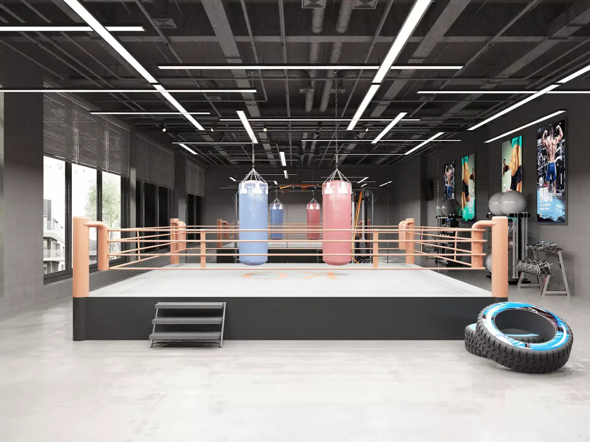 Boxing Gym Low-poly 3D model buy