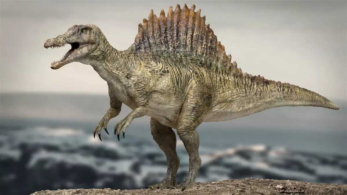 Spinosaurus Rigged 3D model Low-poly 3D model