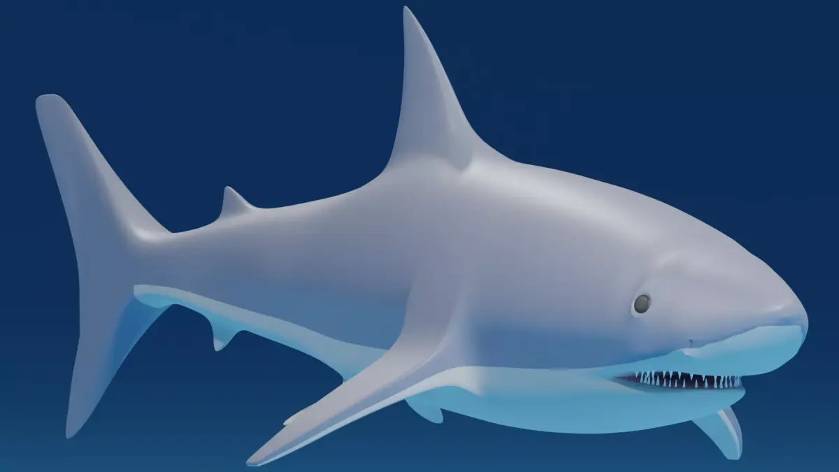 Cartoon Great White Shark 3D model