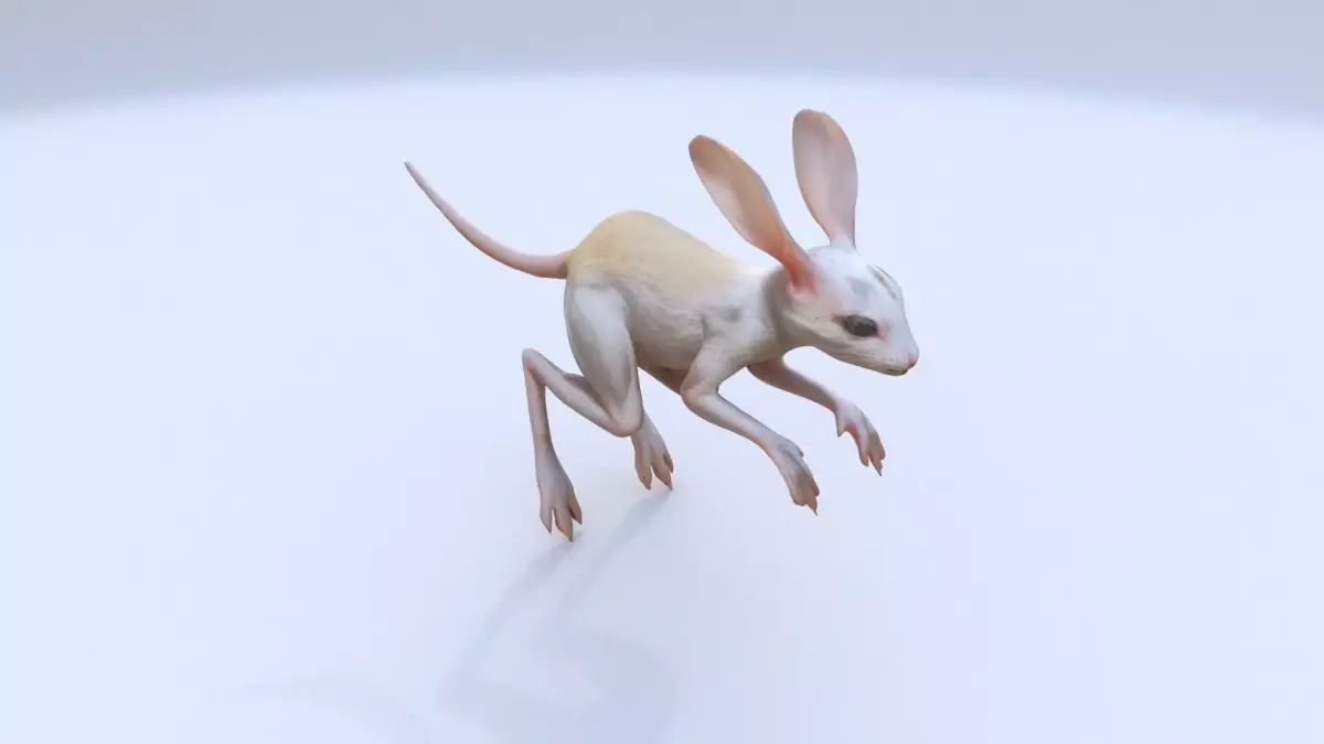 Jerboa 3D model