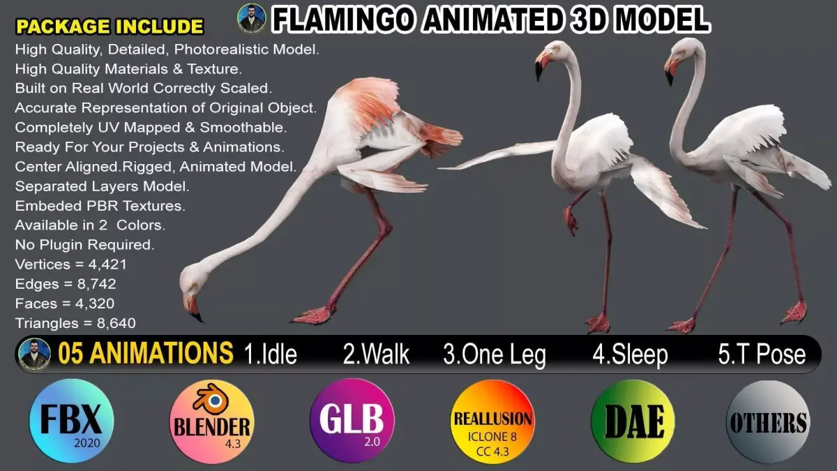 FLAMINGO RIGGED ANIMATED 5 Low-poly 3D model