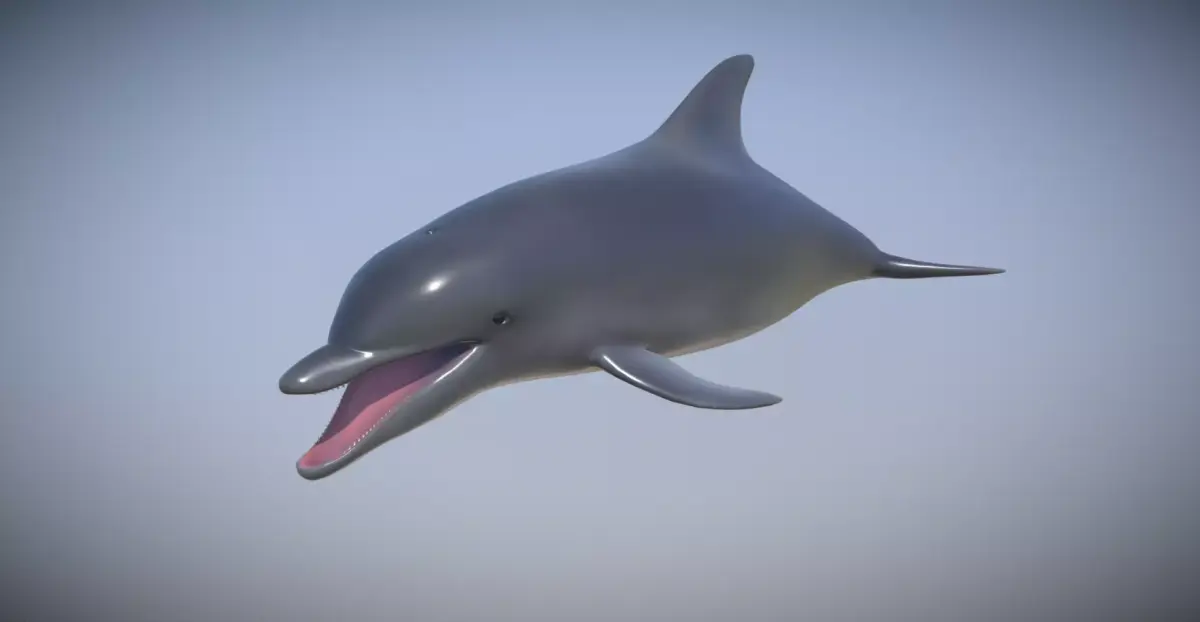 Dolphin Low-poly 3D model