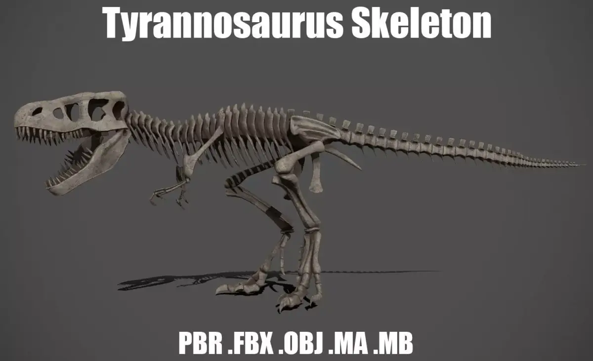 Tyrannosaurus Skeleton 3D model