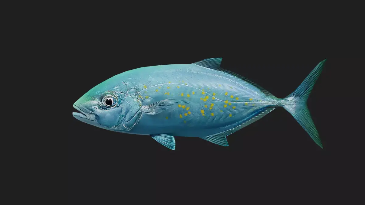 Trevally Low-poly 3D model 4