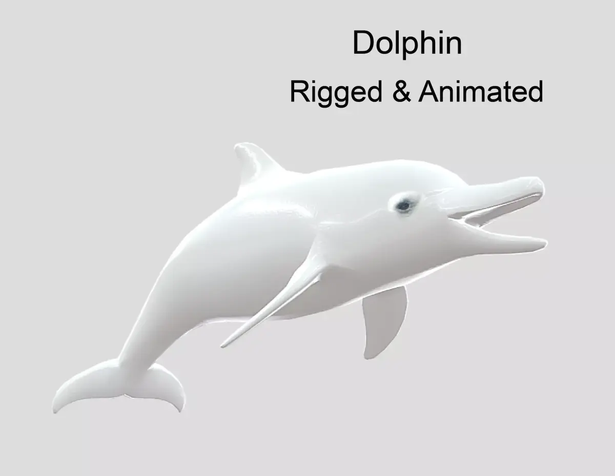 Dolphin Realistic Animated Low-poly 3D model