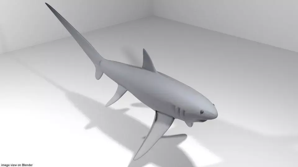 Shark - Fox 3D model