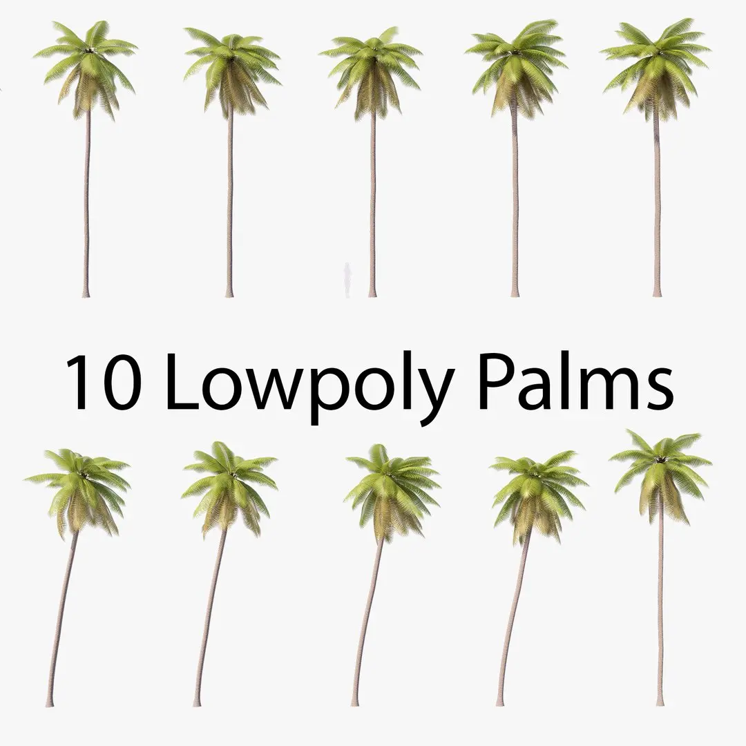 Palms Lowpoly Set 02 with LODs 3D model
