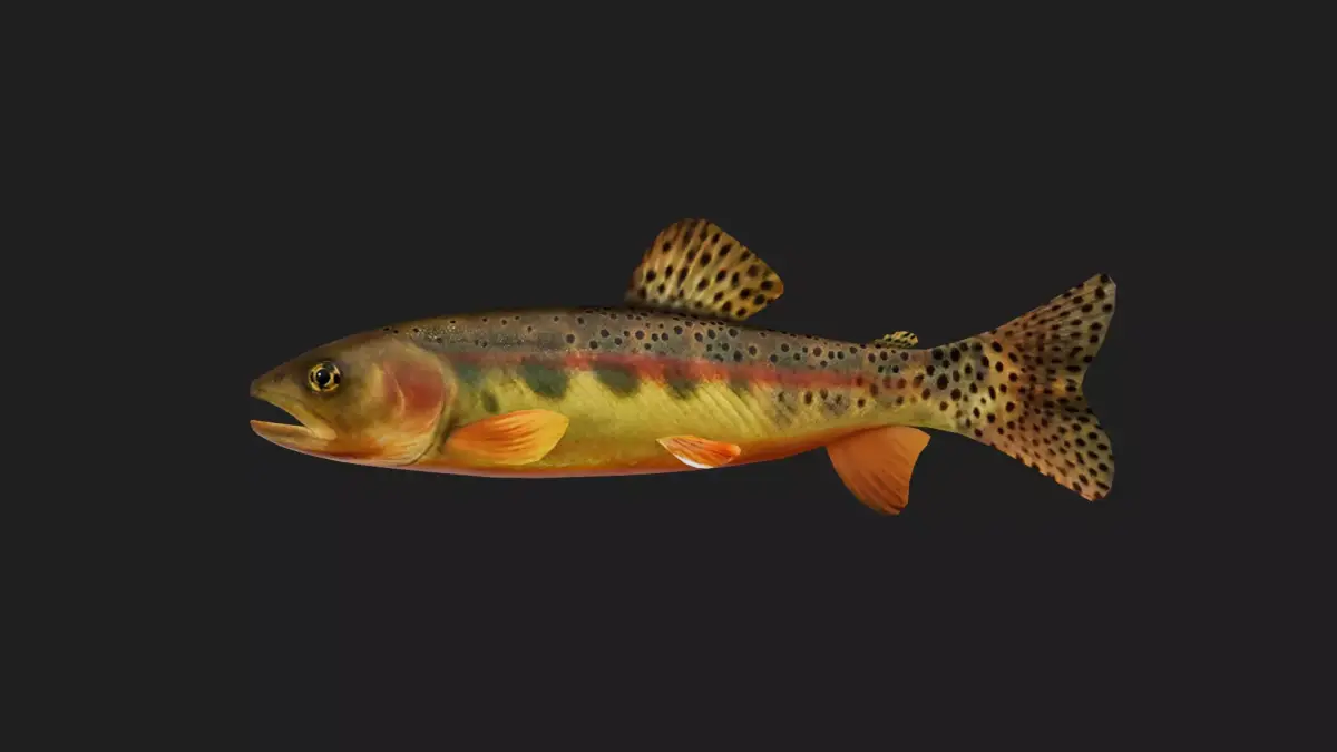 Trout Low-poly 3D model 5