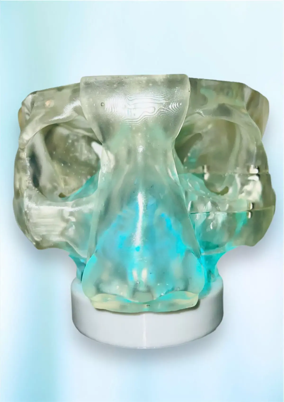 8-part 3D printed Nasal Sinus model from Real CT scan Data 3D print model